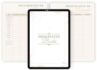 Plantilla de presupuesto para fiesta de 15 años